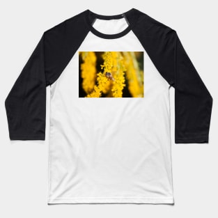 Marigold and Honey II Baseball T-Shirt